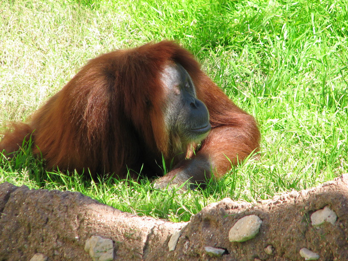 Fort Worth Zoo