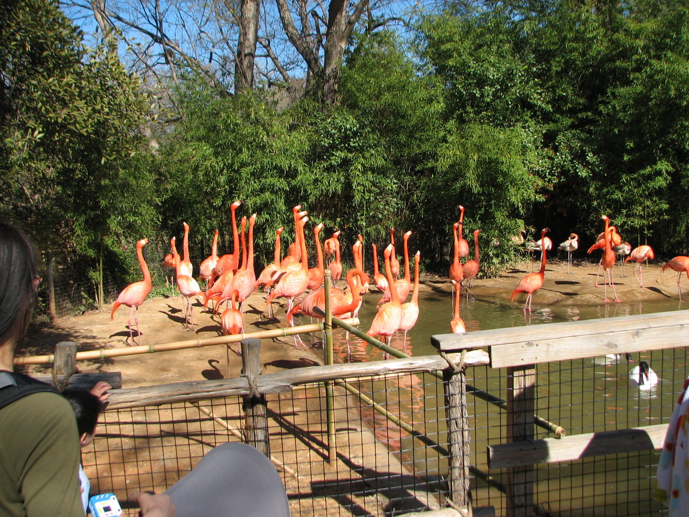 Fort Worth Zoo