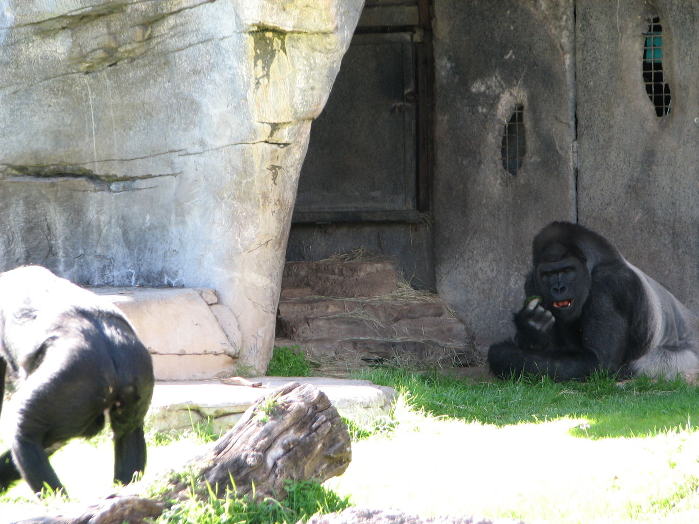 Fort Worth Zoo