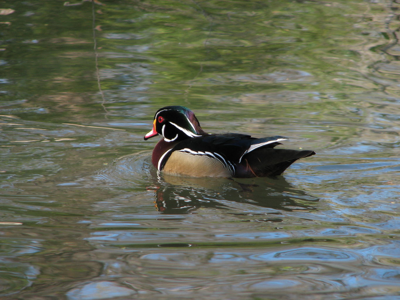 Fort Worth Zoo