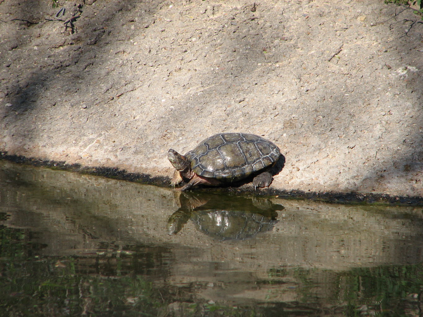 Fort Worth Zoo