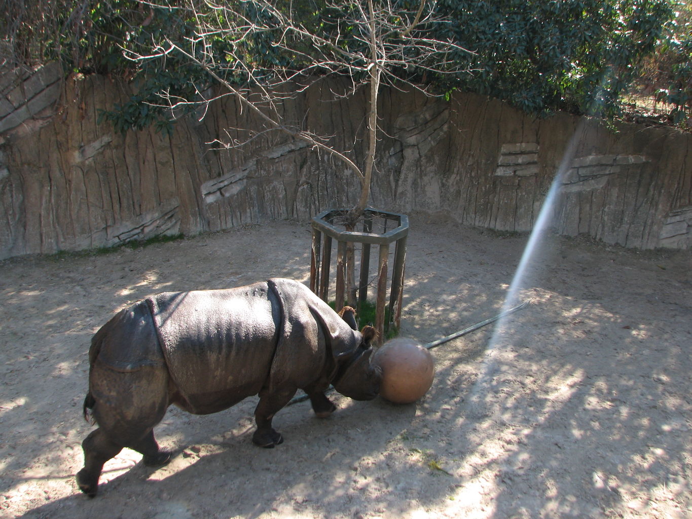 Fort Worth Zoo