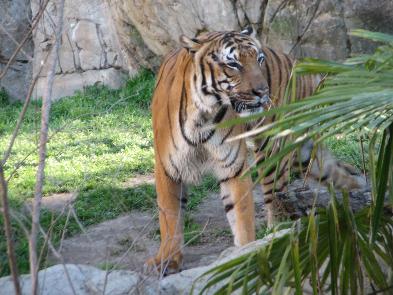 Fort Worth Zoo