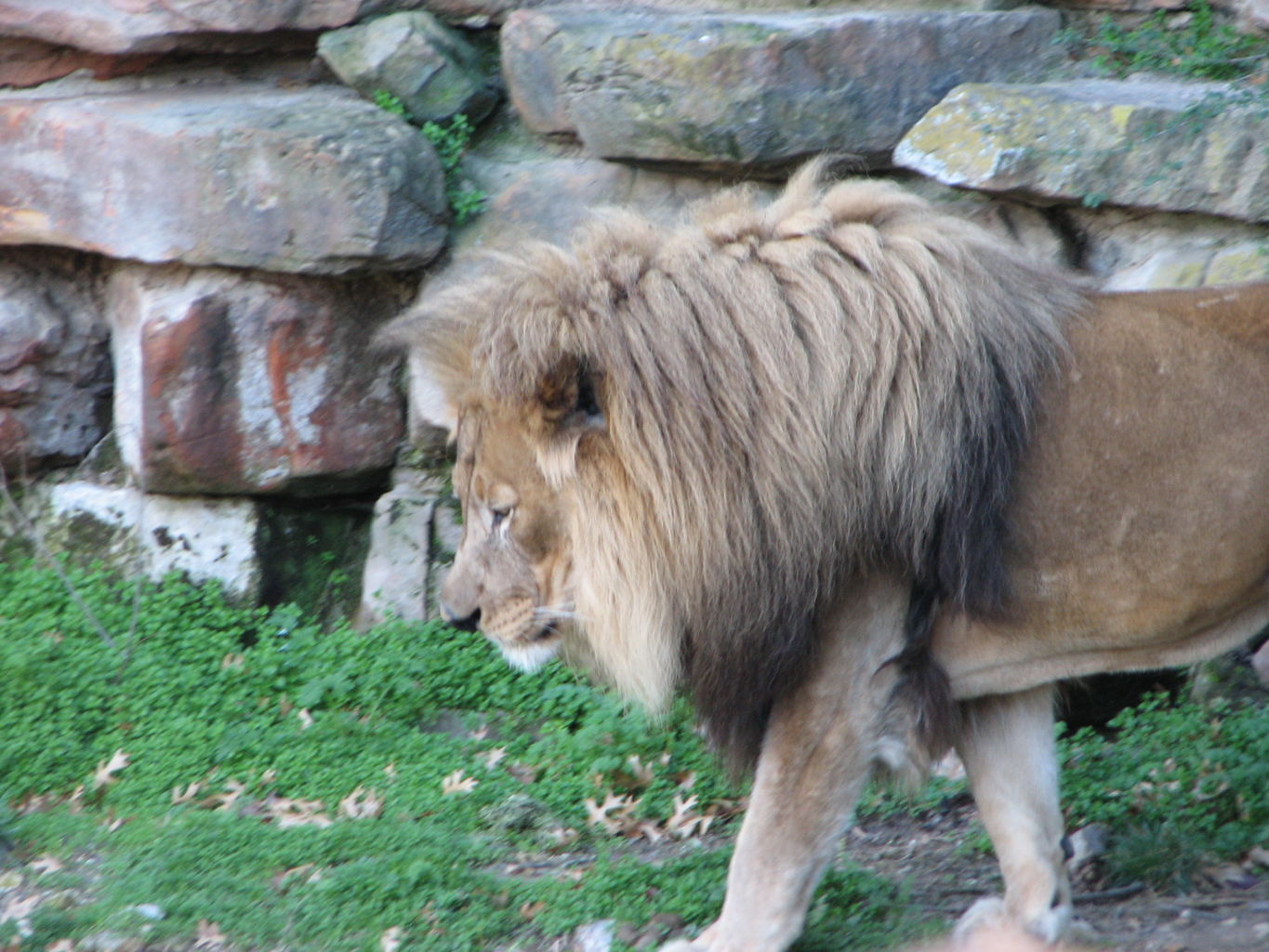 Fort Worth Zoo