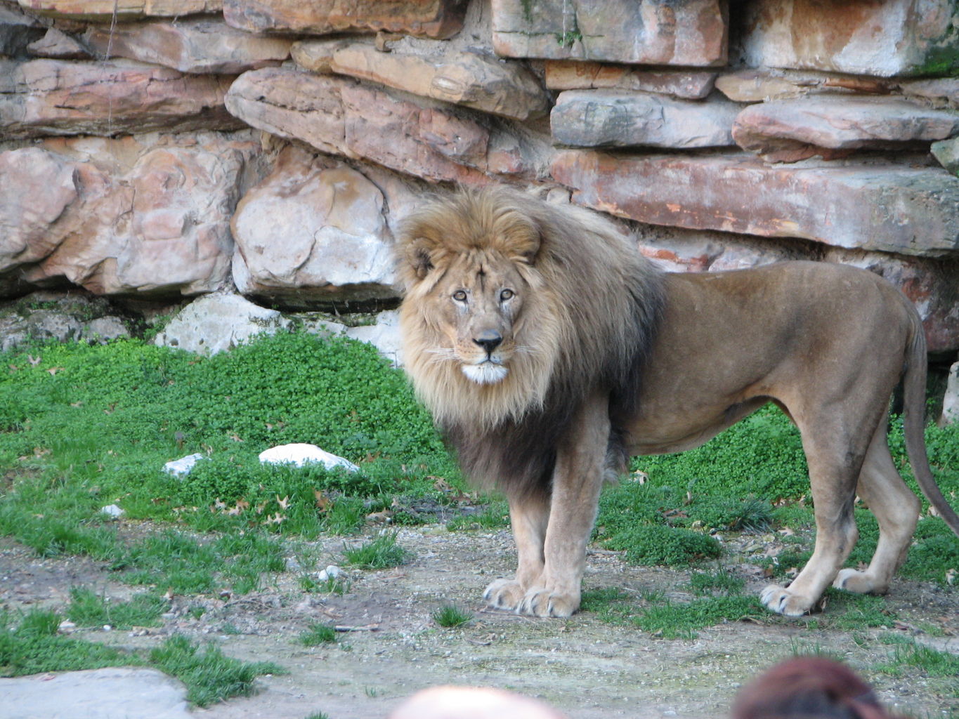 Fort Worth Zoo