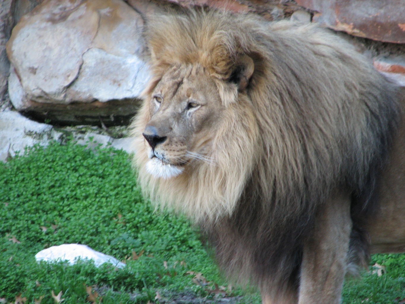 Fort Worth Zoo