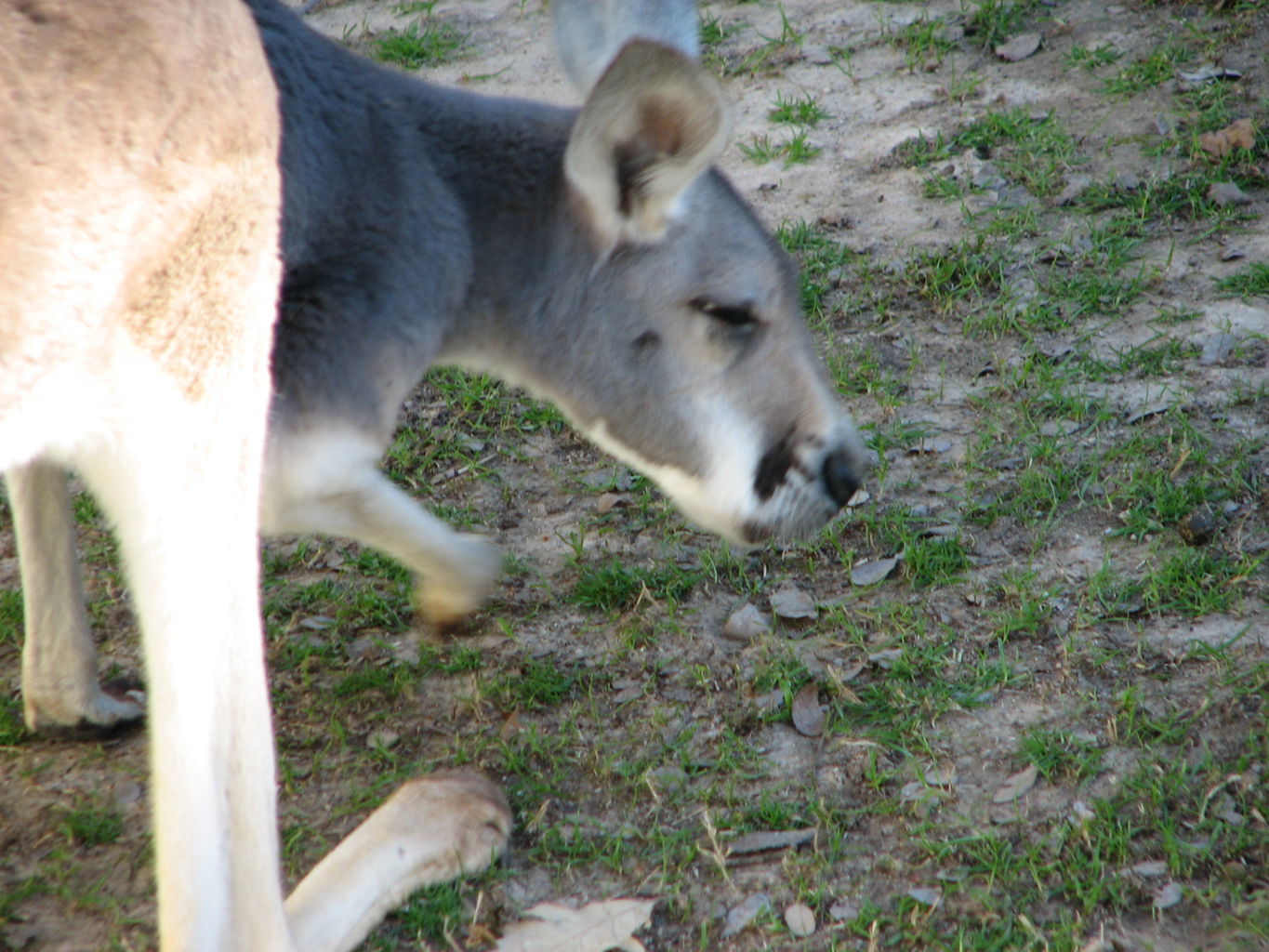 Fort Worth Zoo