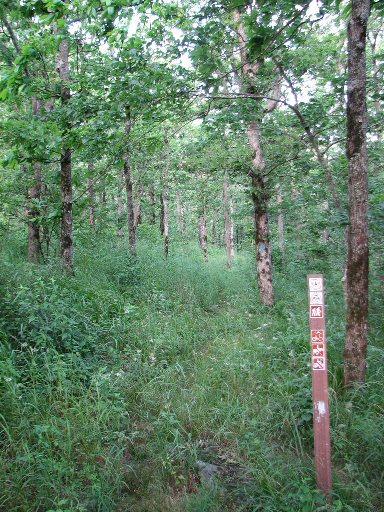 Winding Stair, Oklahoma