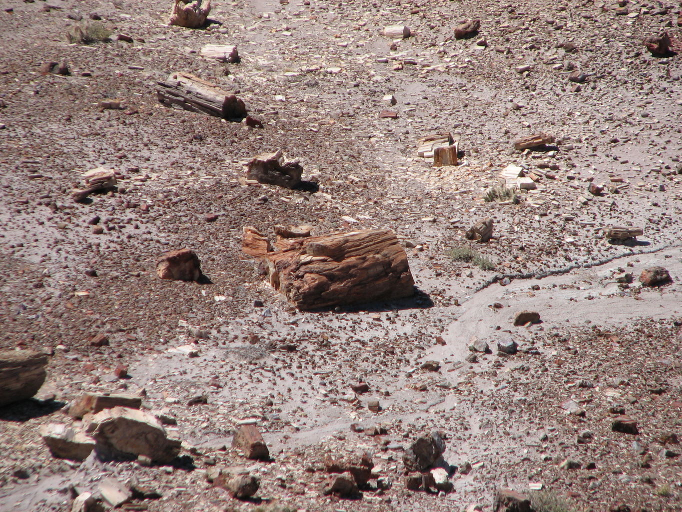 Grand Canyon - Day 3