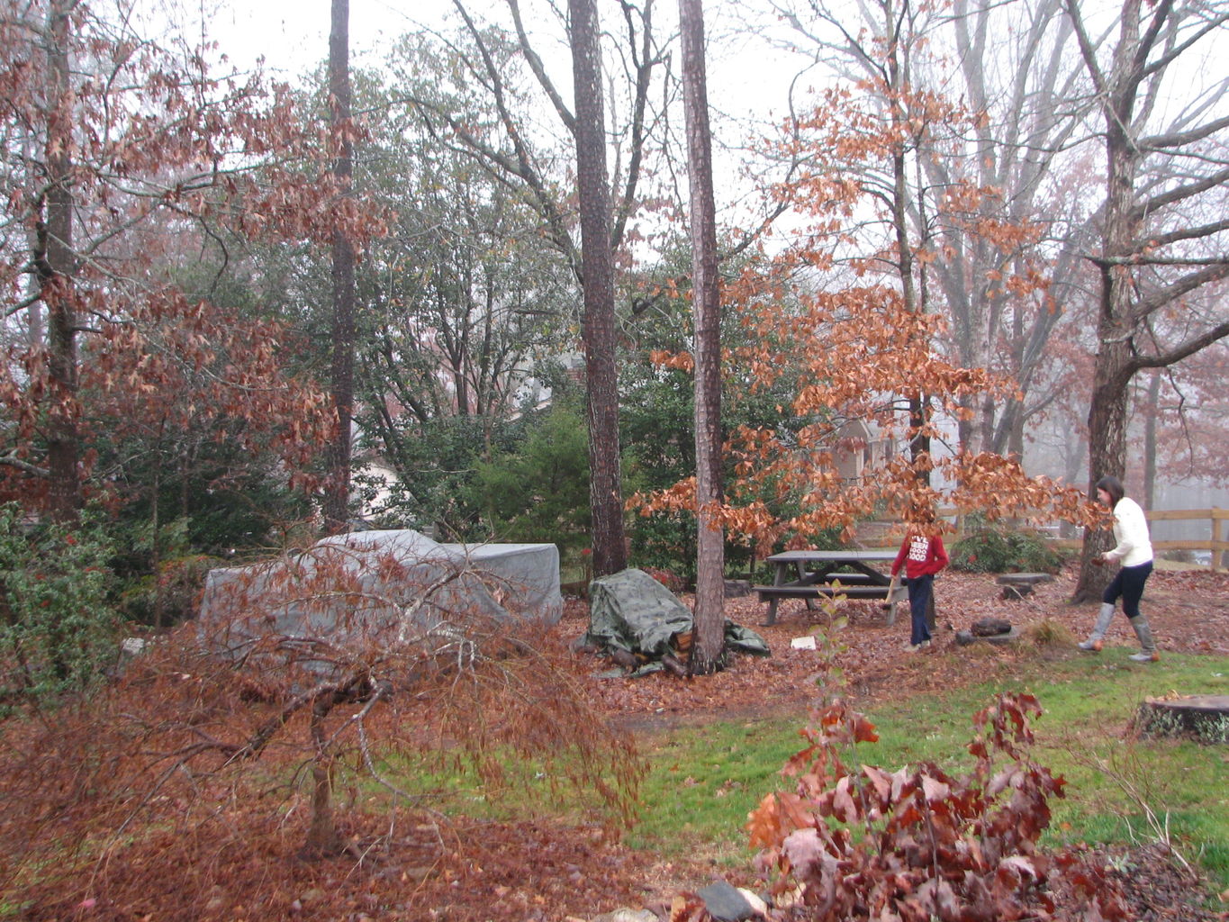 2012-12-25