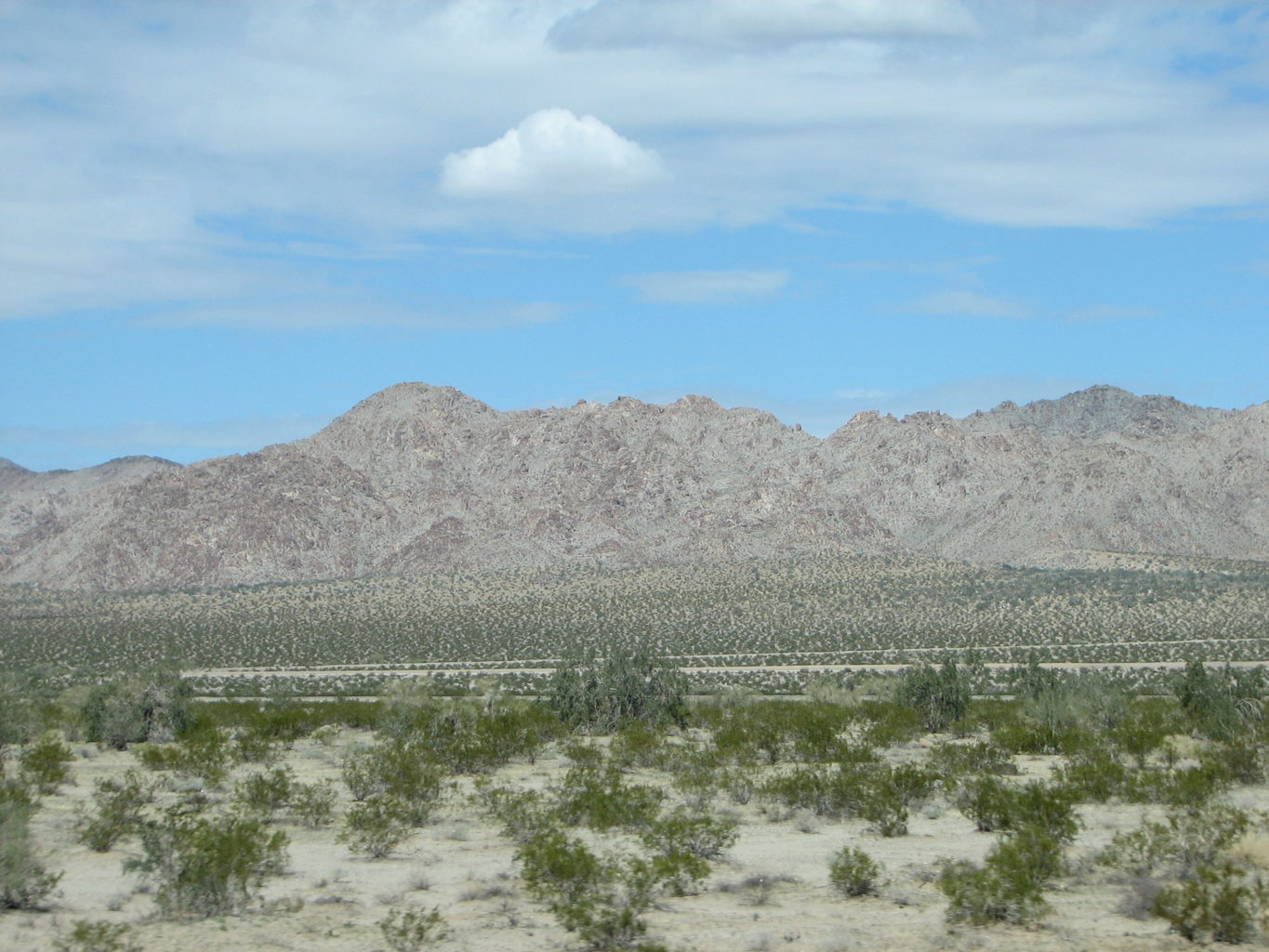 2013-03-09