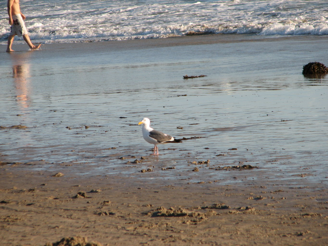 2013-03-10