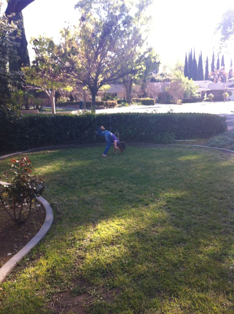 2013-03-11