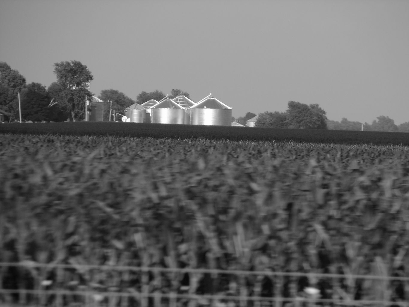 2013-07-05
