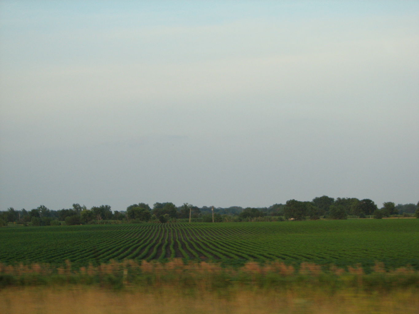2013-07-05