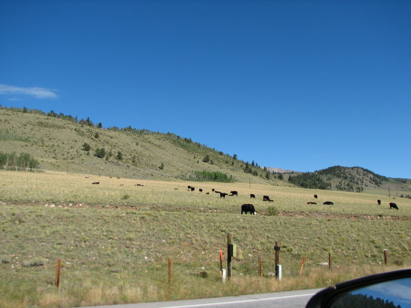 Day 3 of 6 - Mike and James in Colorado