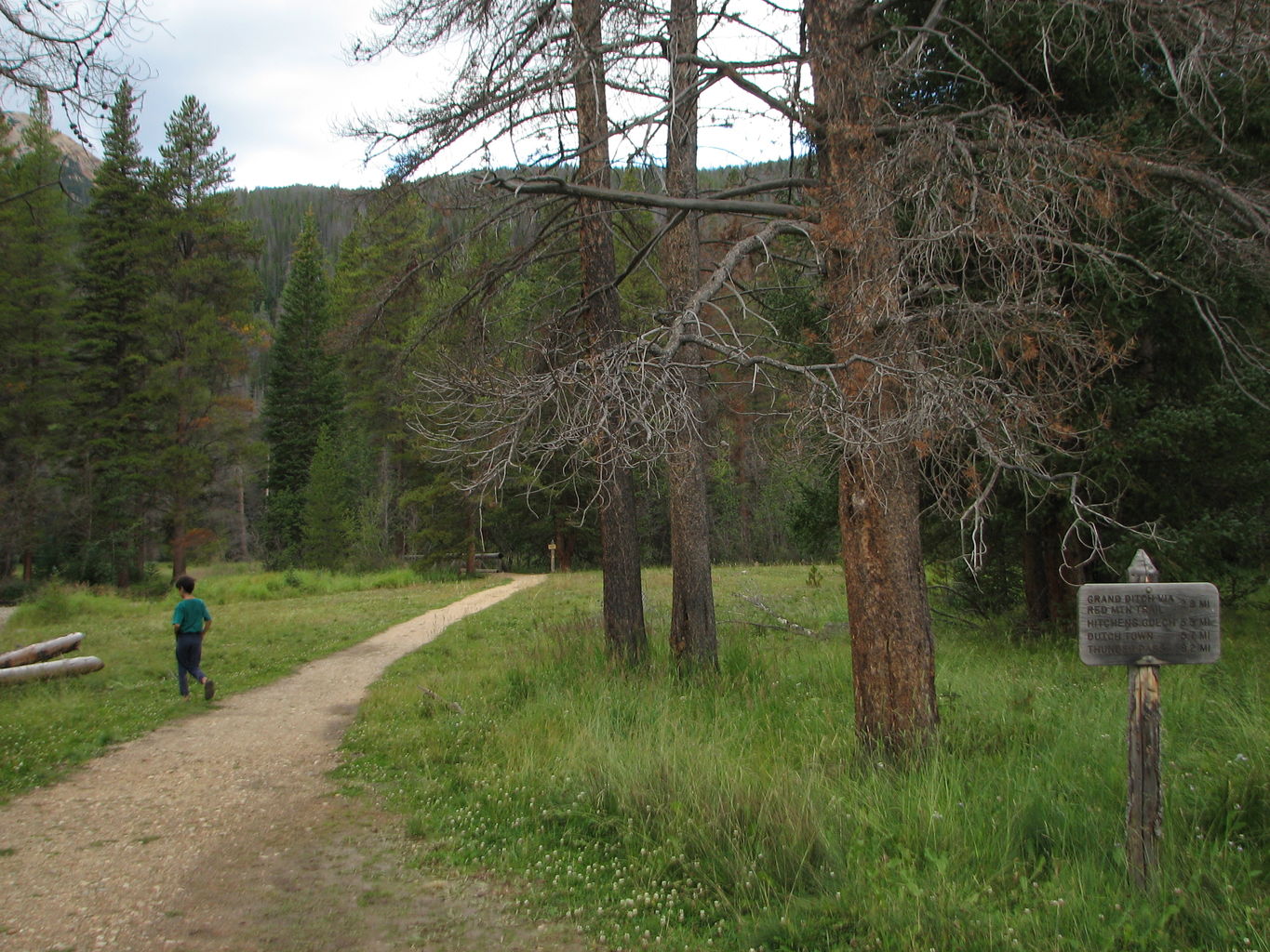 Day 3 of 6 - Mike and James in Colorado