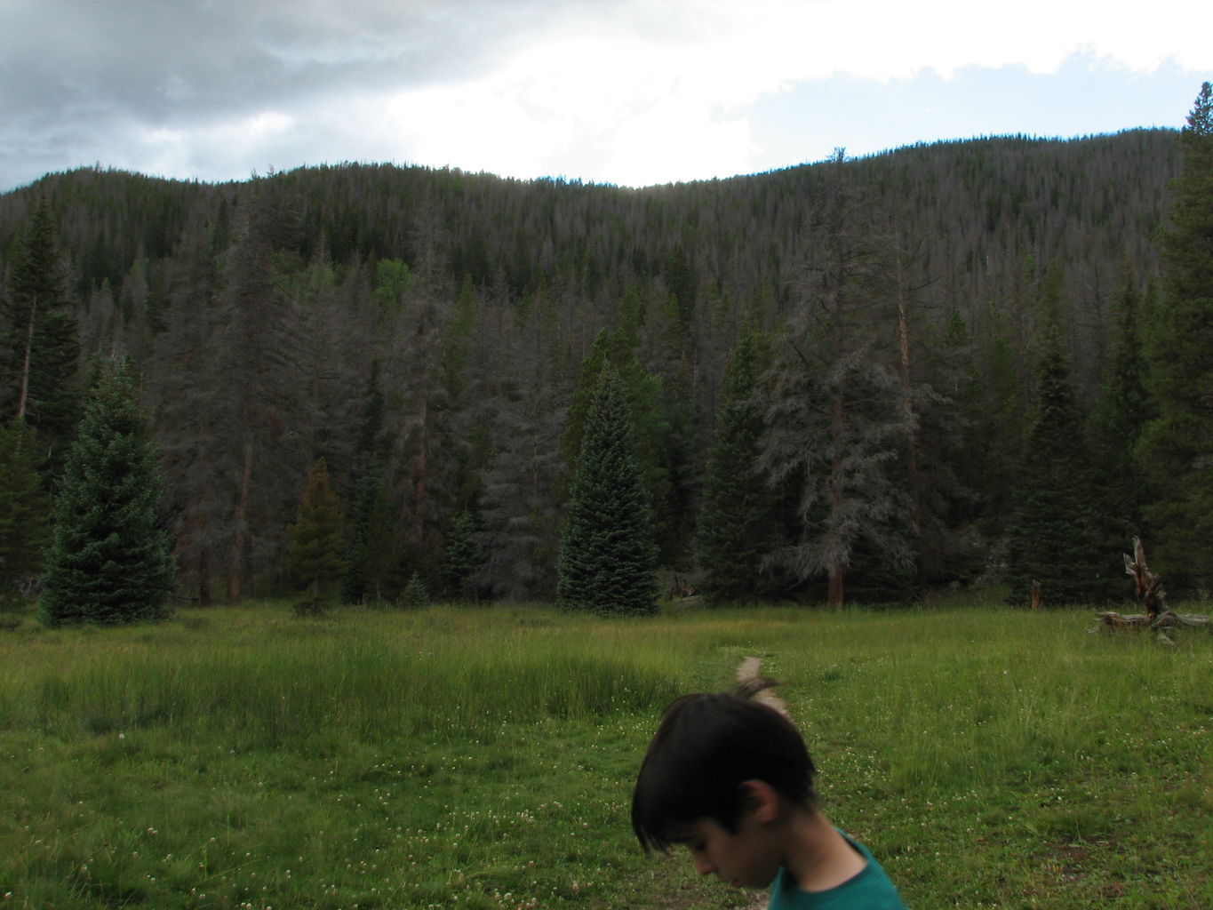 Day 3 of 6 - Mike and James in Colorado