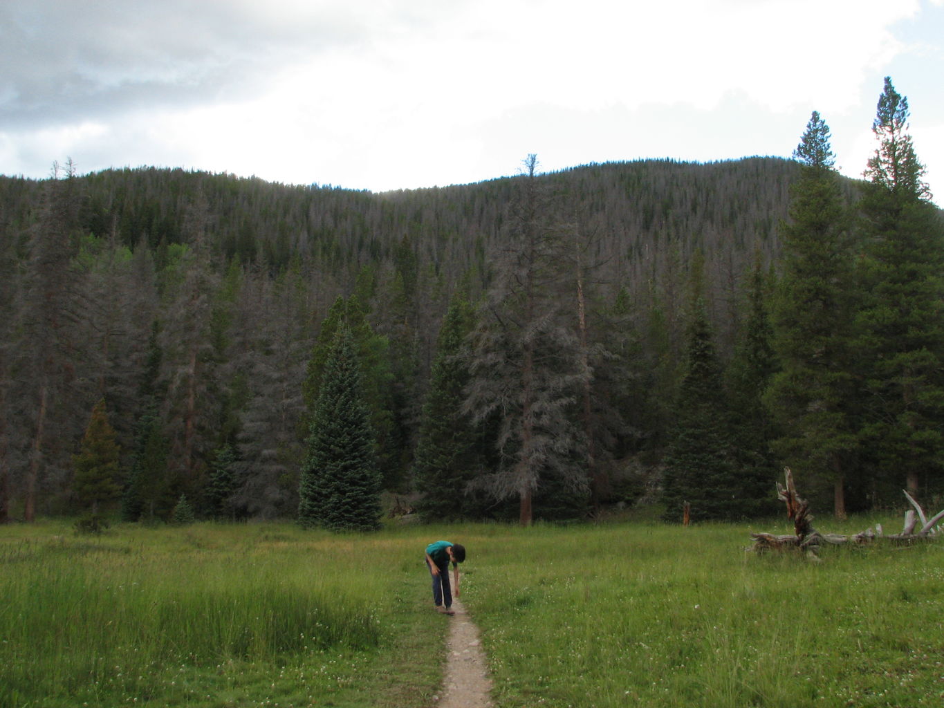 Day 3 of 6 - Mike and James in Colorado