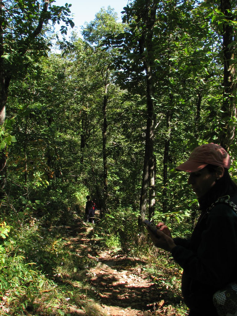 Queen Wilhemena State Park - Day 2