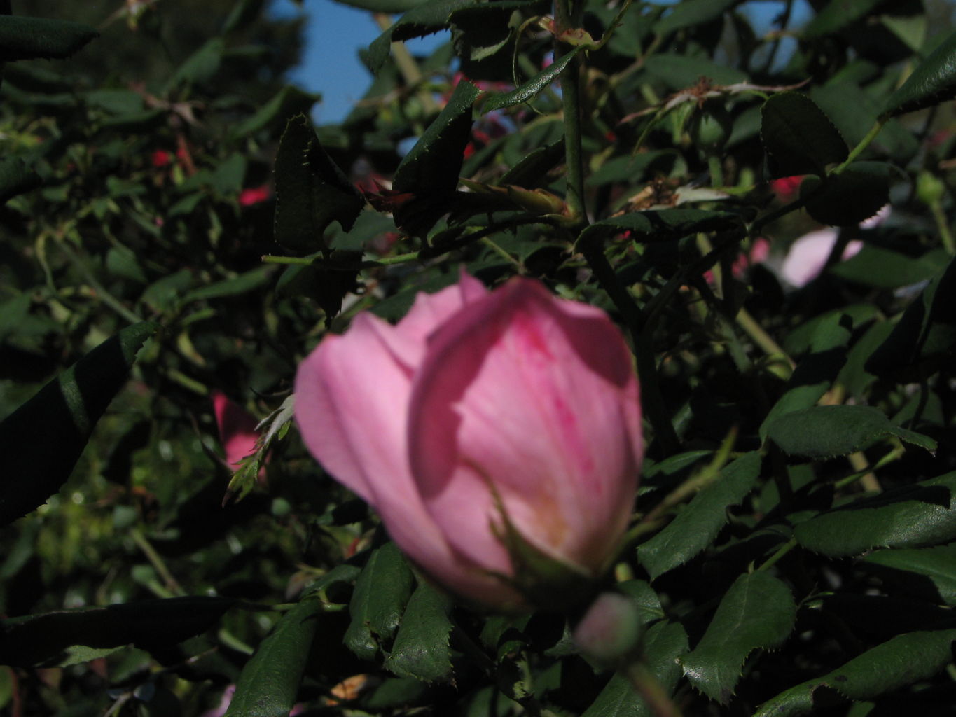 2013-10-20