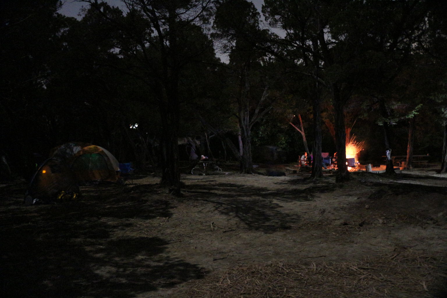 Friday Night - Camp Wisdom Weebloree