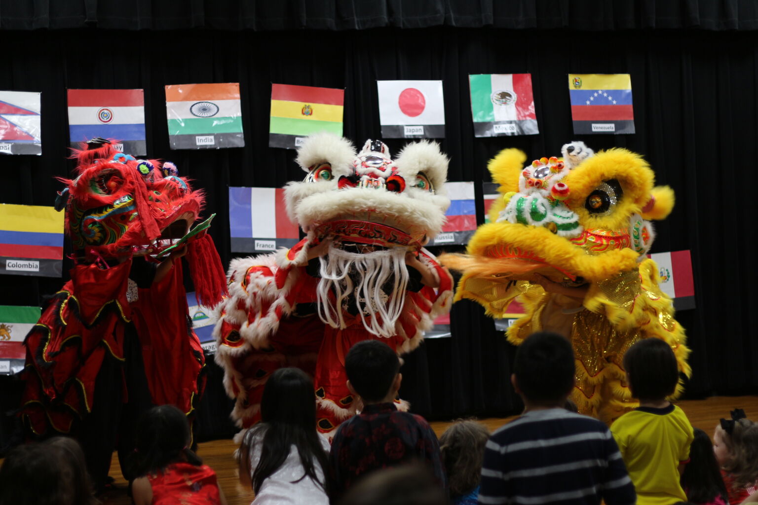 International Night