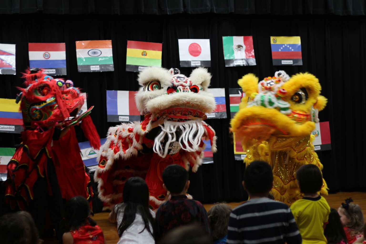 International Night