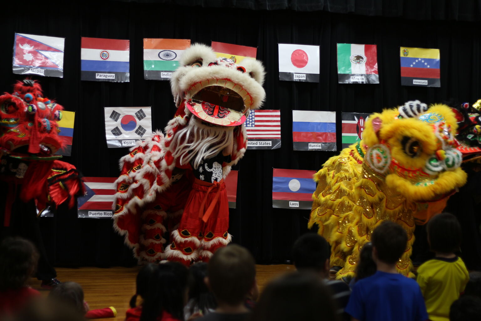 International Night