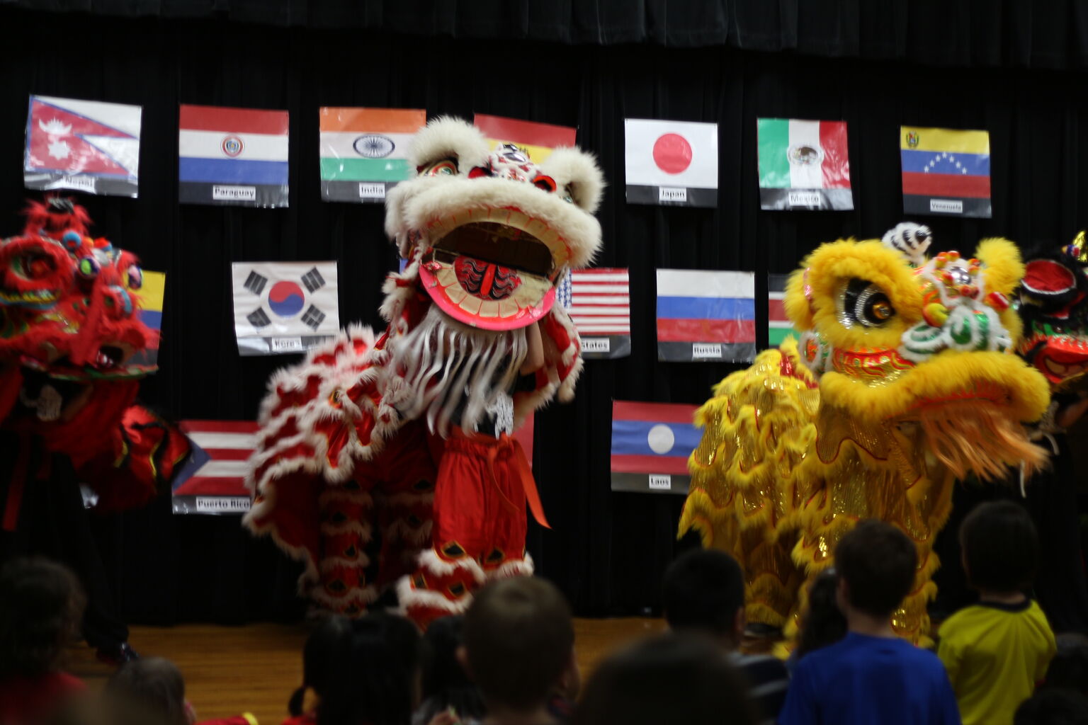 International Night