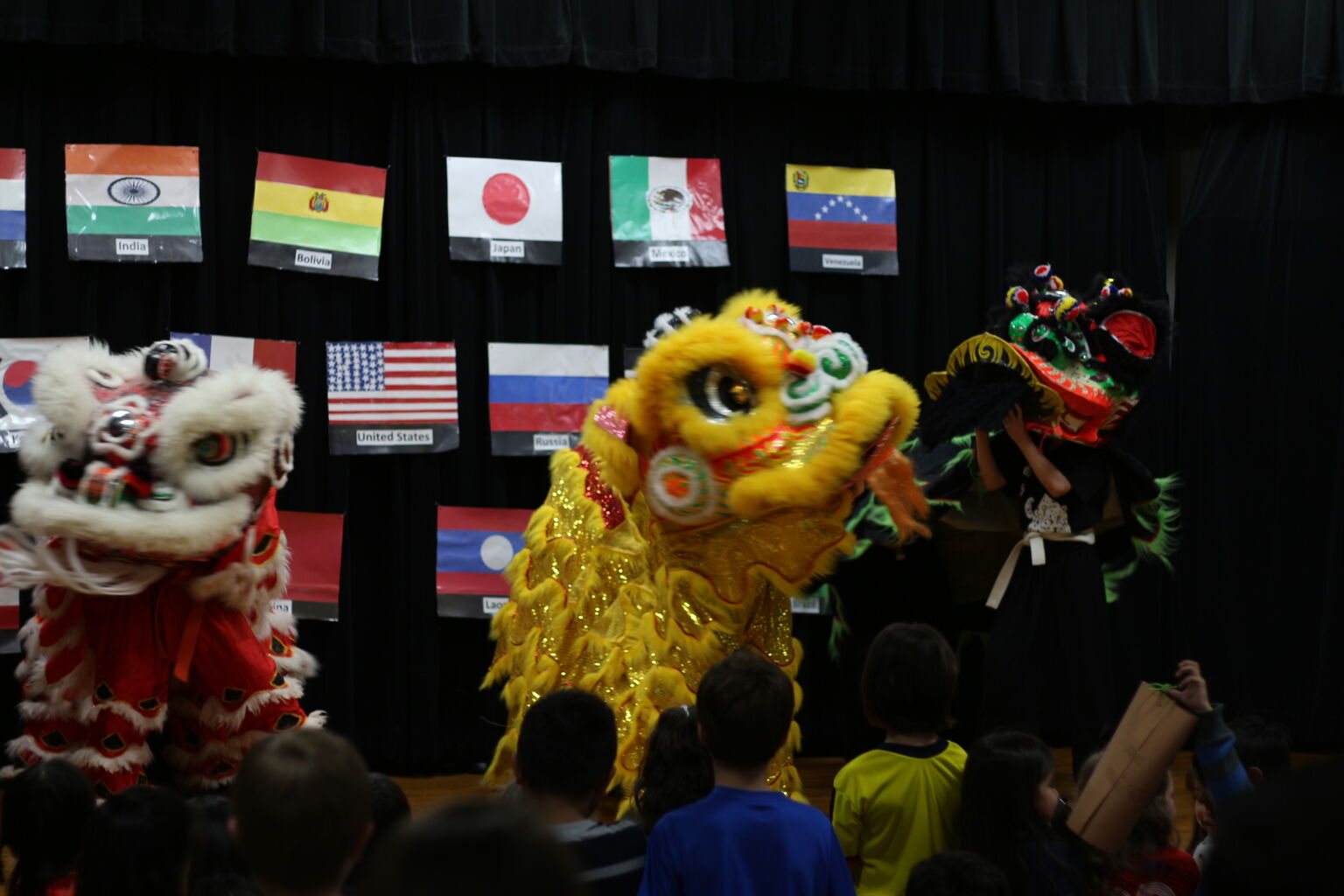 International Night