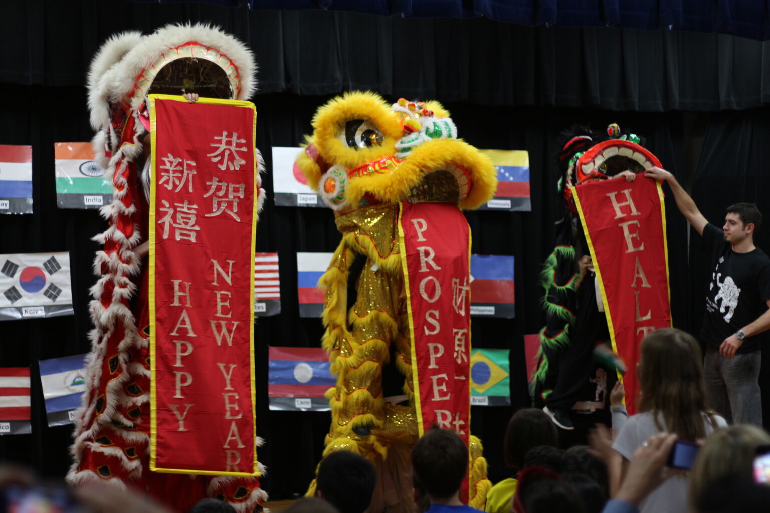 International Night