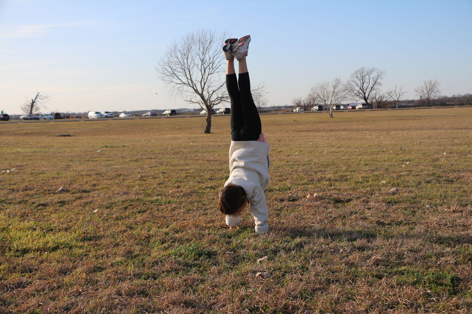 Fly a Kite