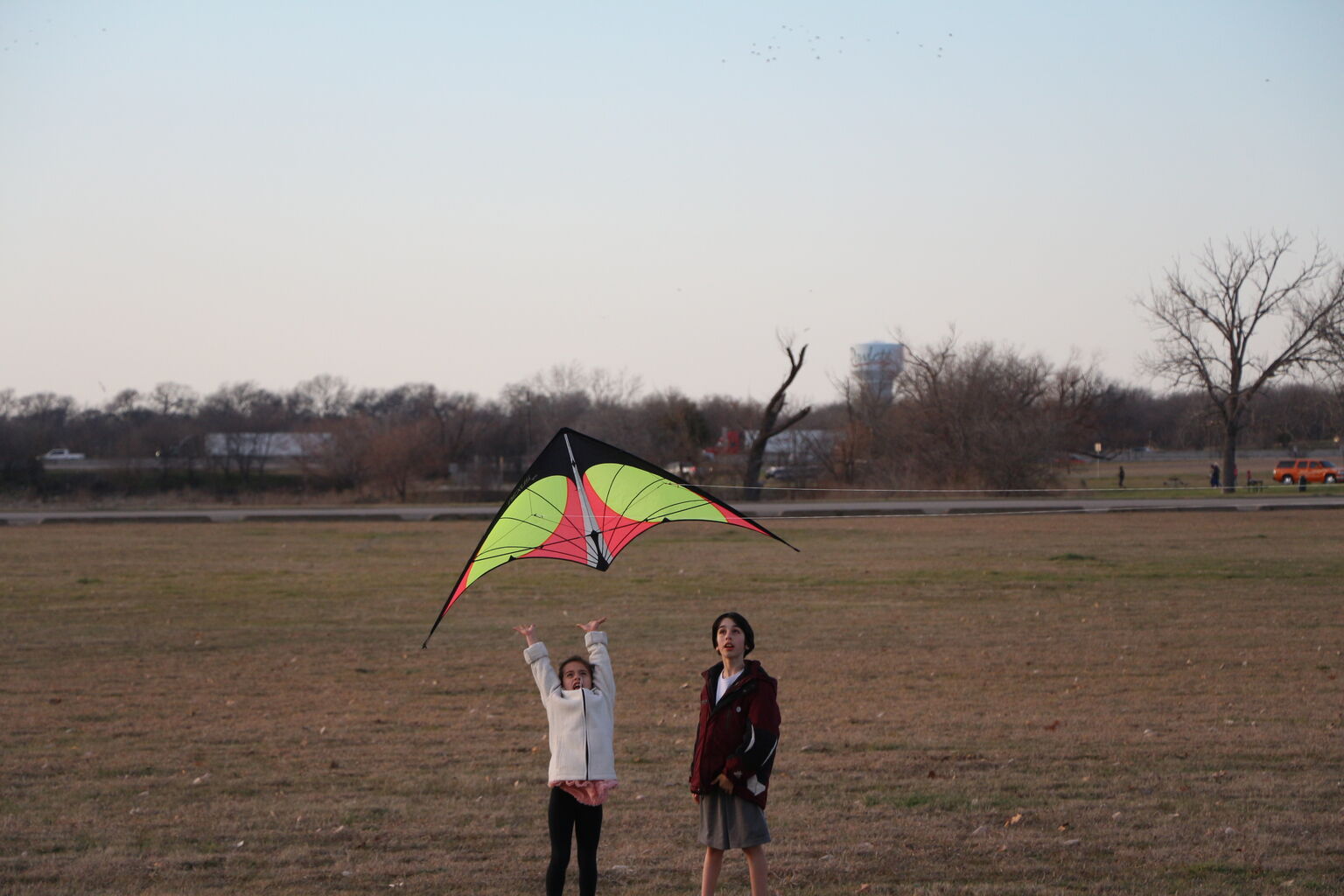 Fly a Kite