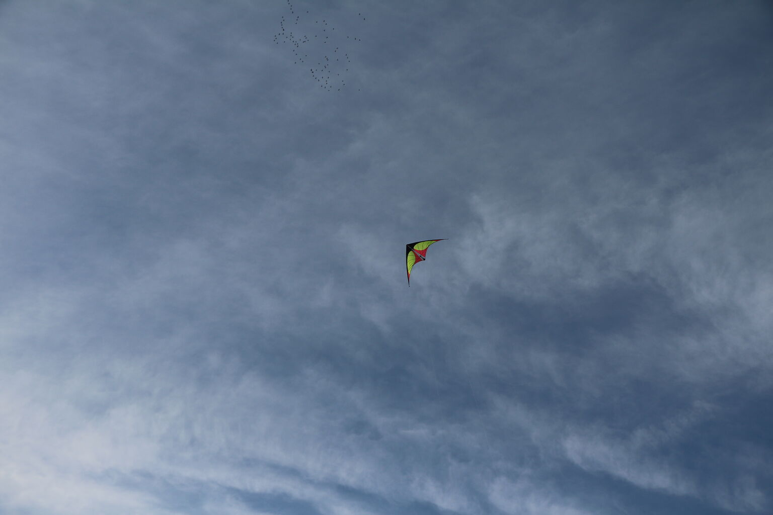 Fly a Kite