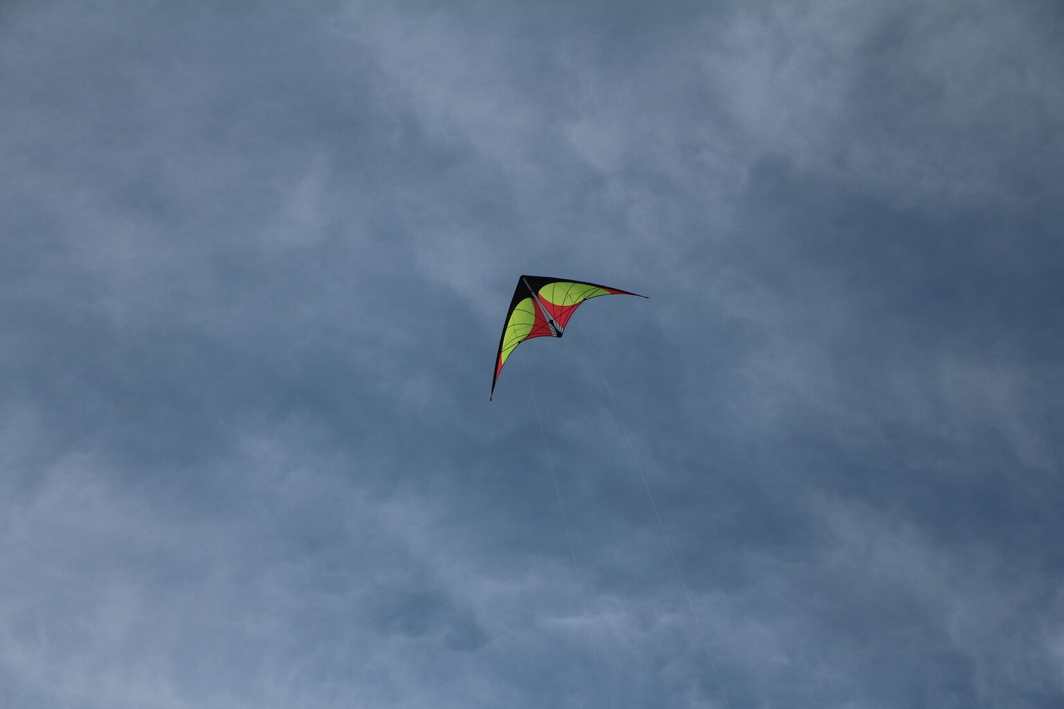 Fly a Kite