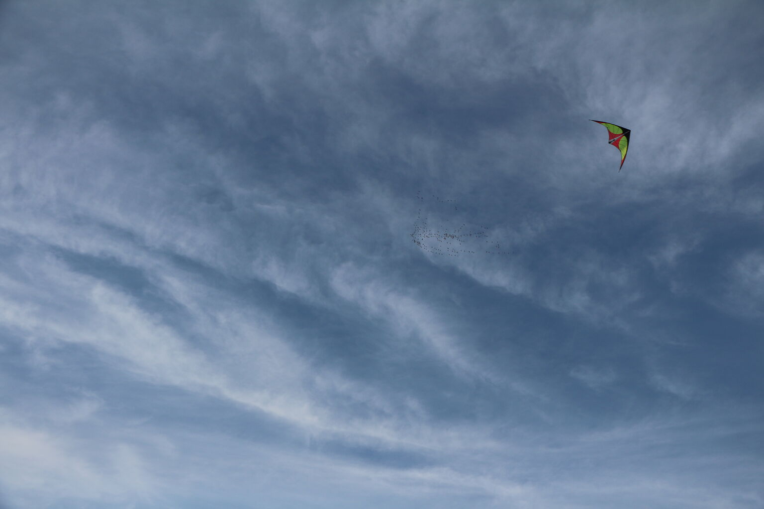 Fly a Kite