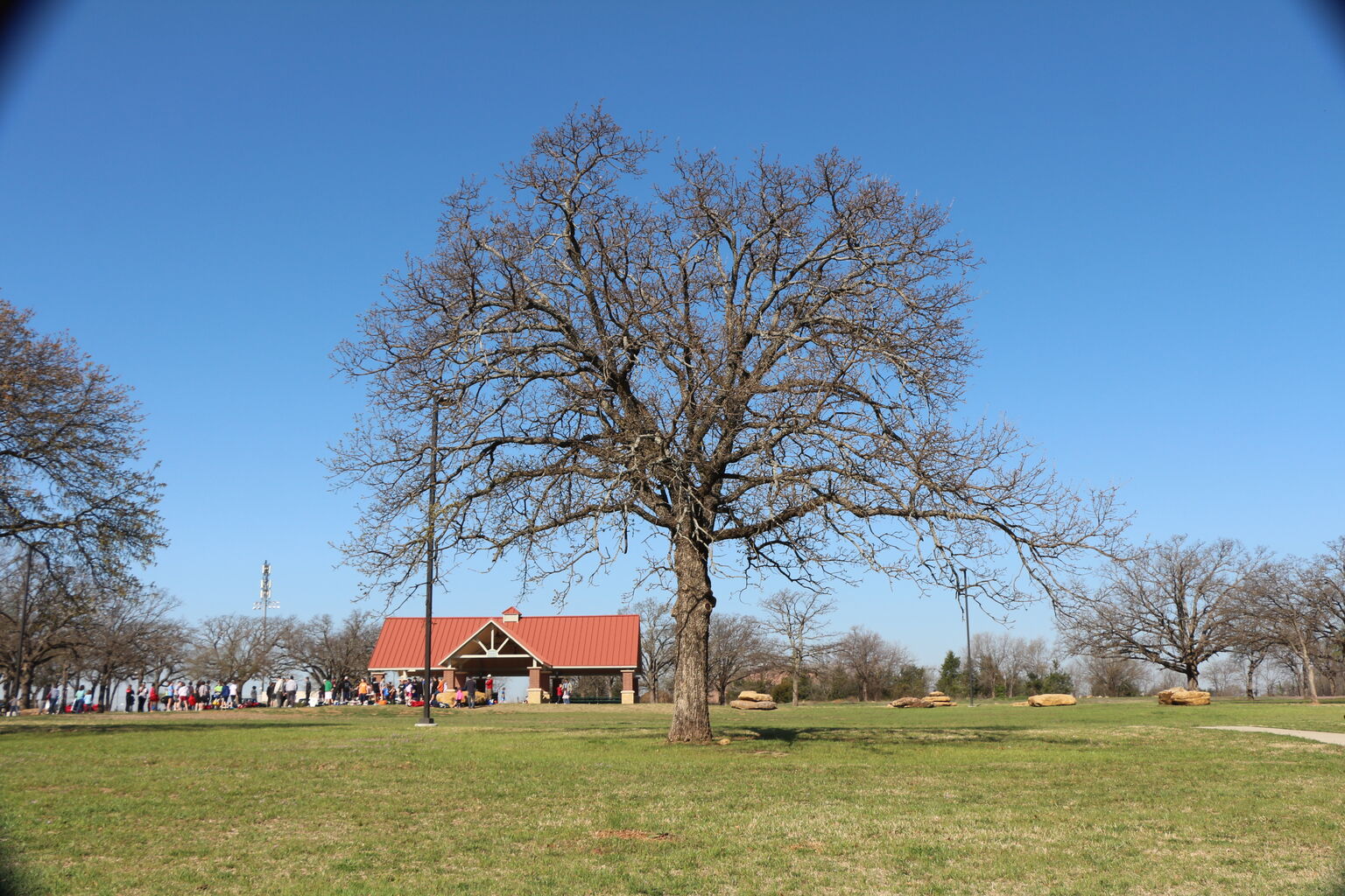 2014-03-29