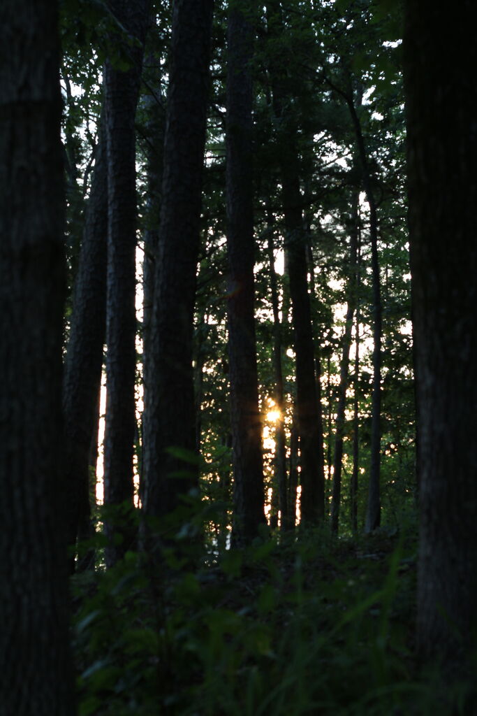 Mt Ida, AR Camping Trip