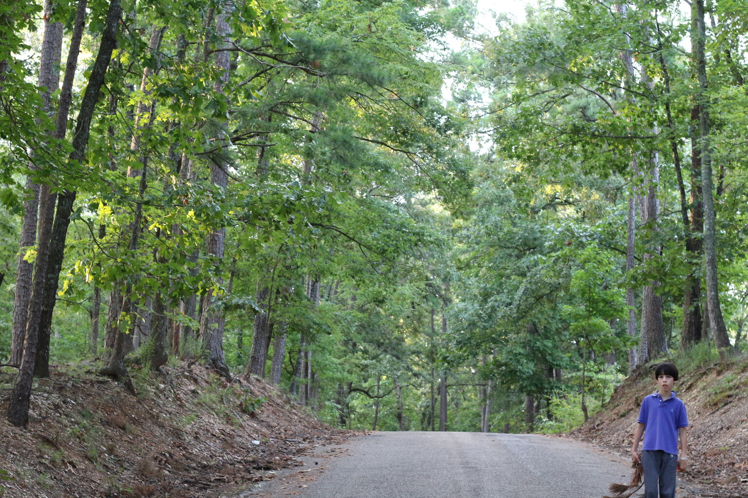 Mt Ida, AR Camping Trip