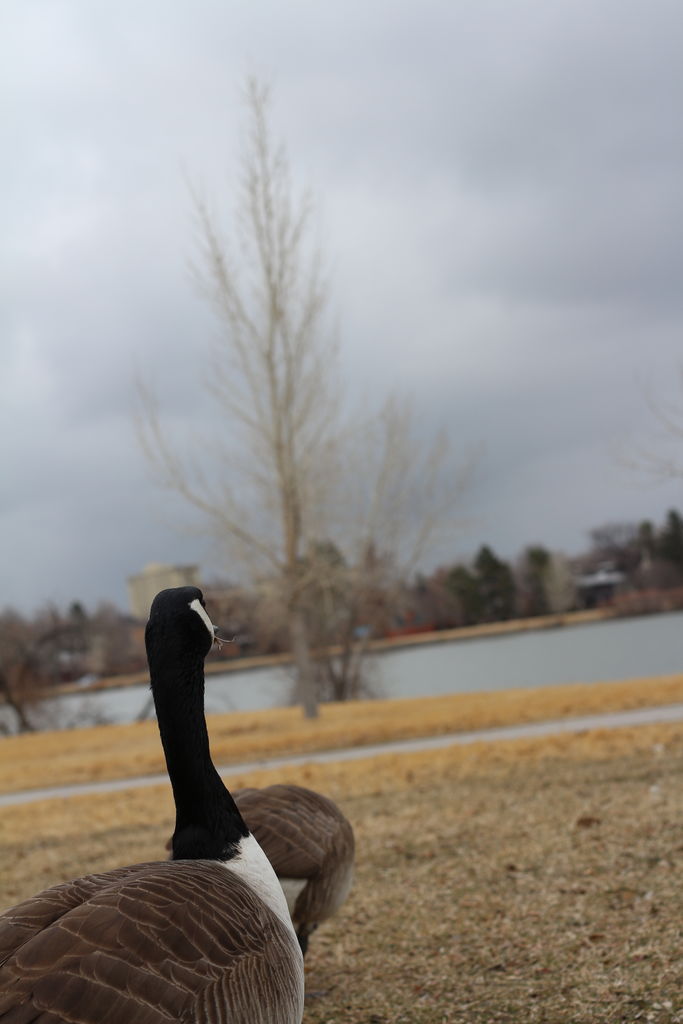Kachline Family Photos 2015-02-15