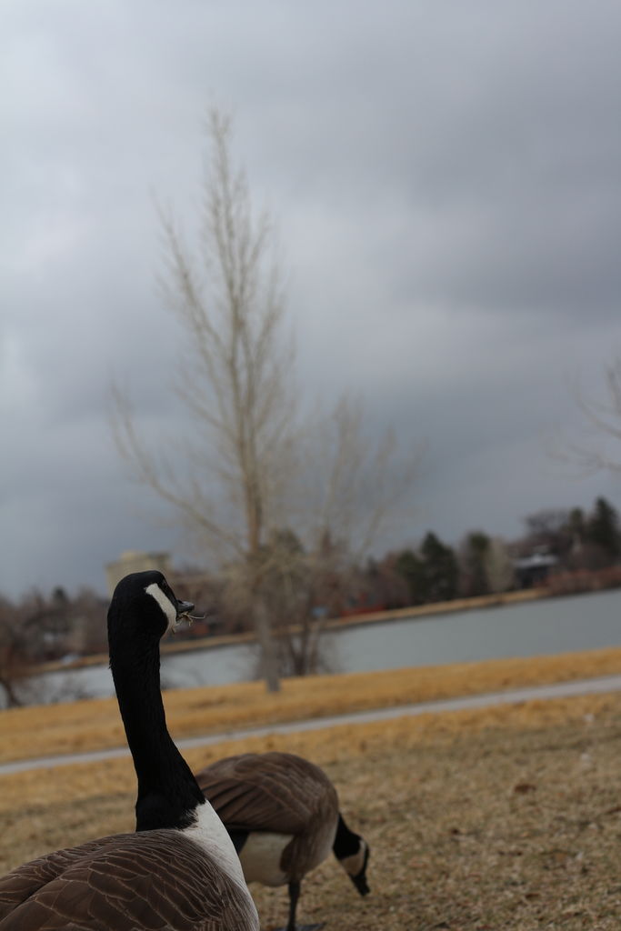 Kachline Family Photos 2015-02-15