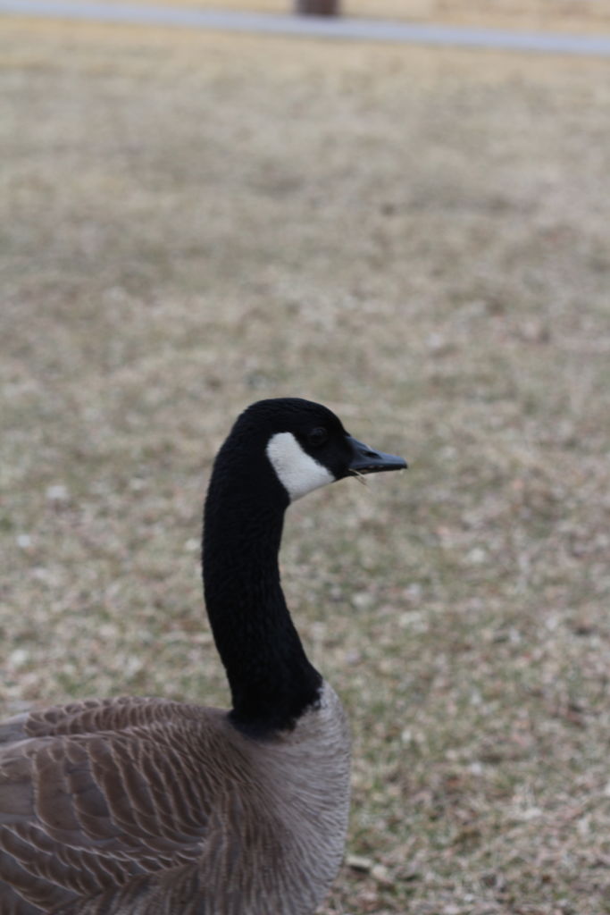 Kachline Family Photos 2015-02-15