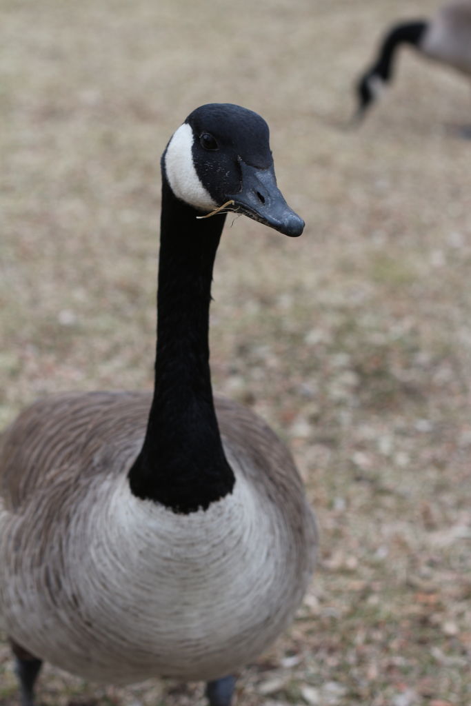Kachline Family Photos 2015-02-15
