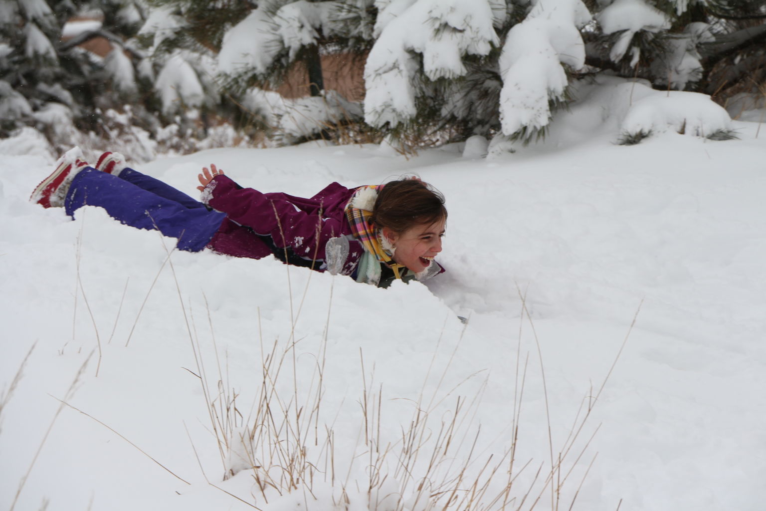 Kachline Family Photos 2015-02-16