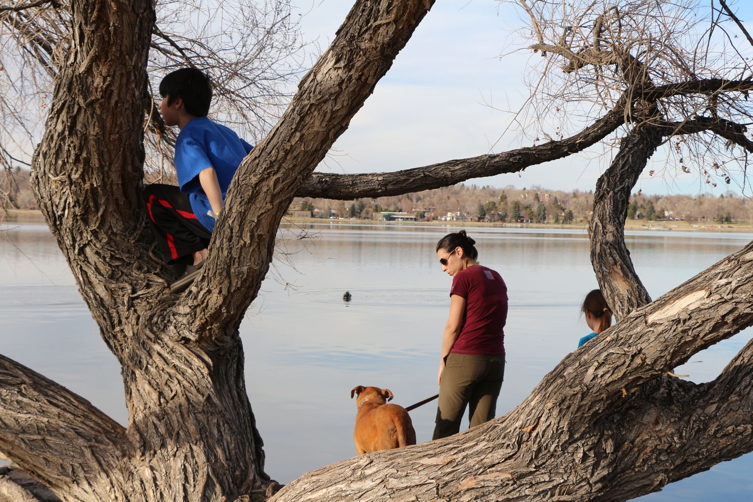 Kachline Family Photos 2015-03-14