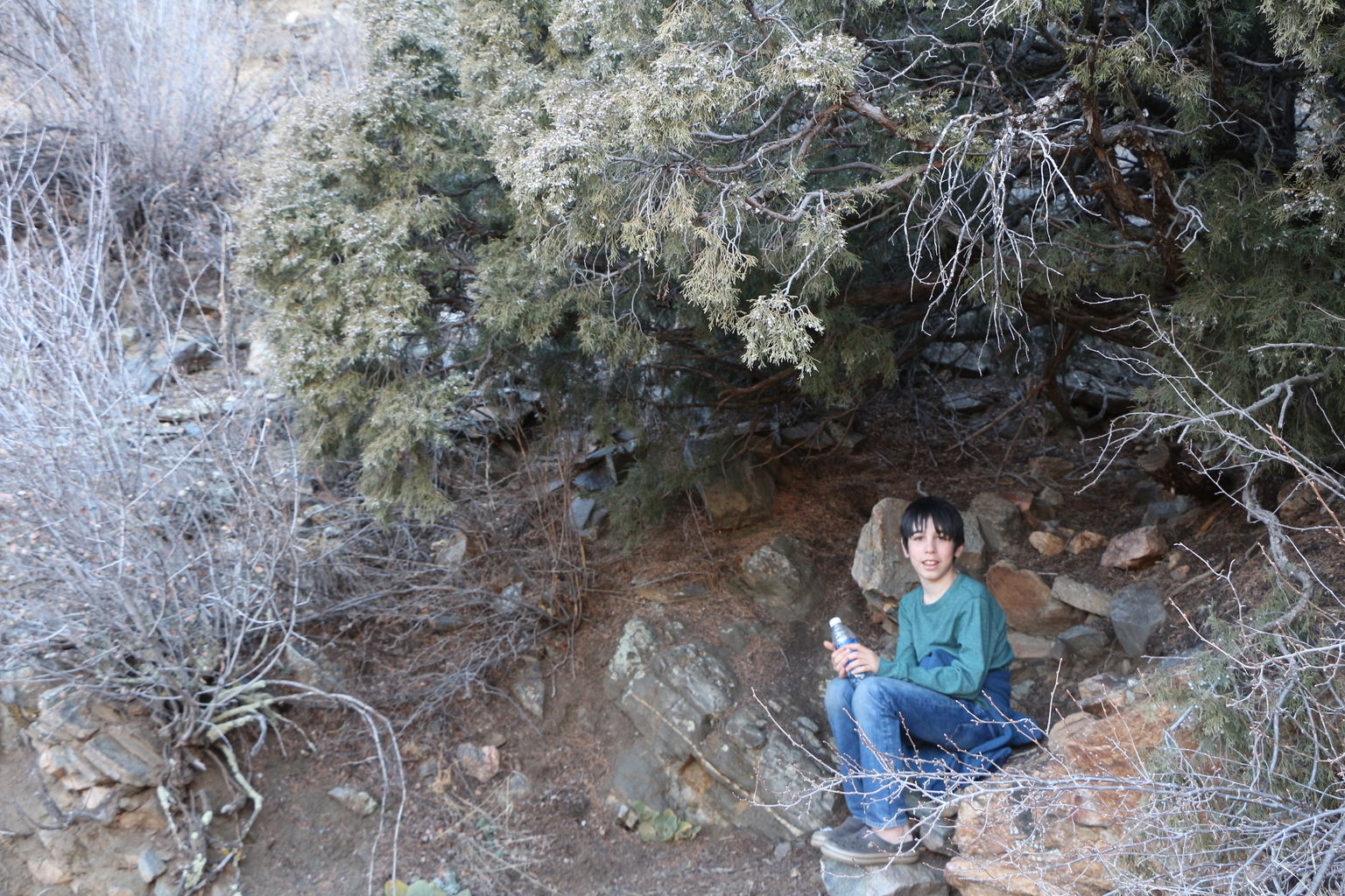 Kachline Family Photos 2015-03-15