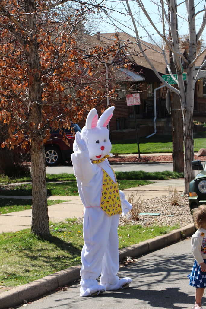 Java Ct Easter Egg Hunt - 2015