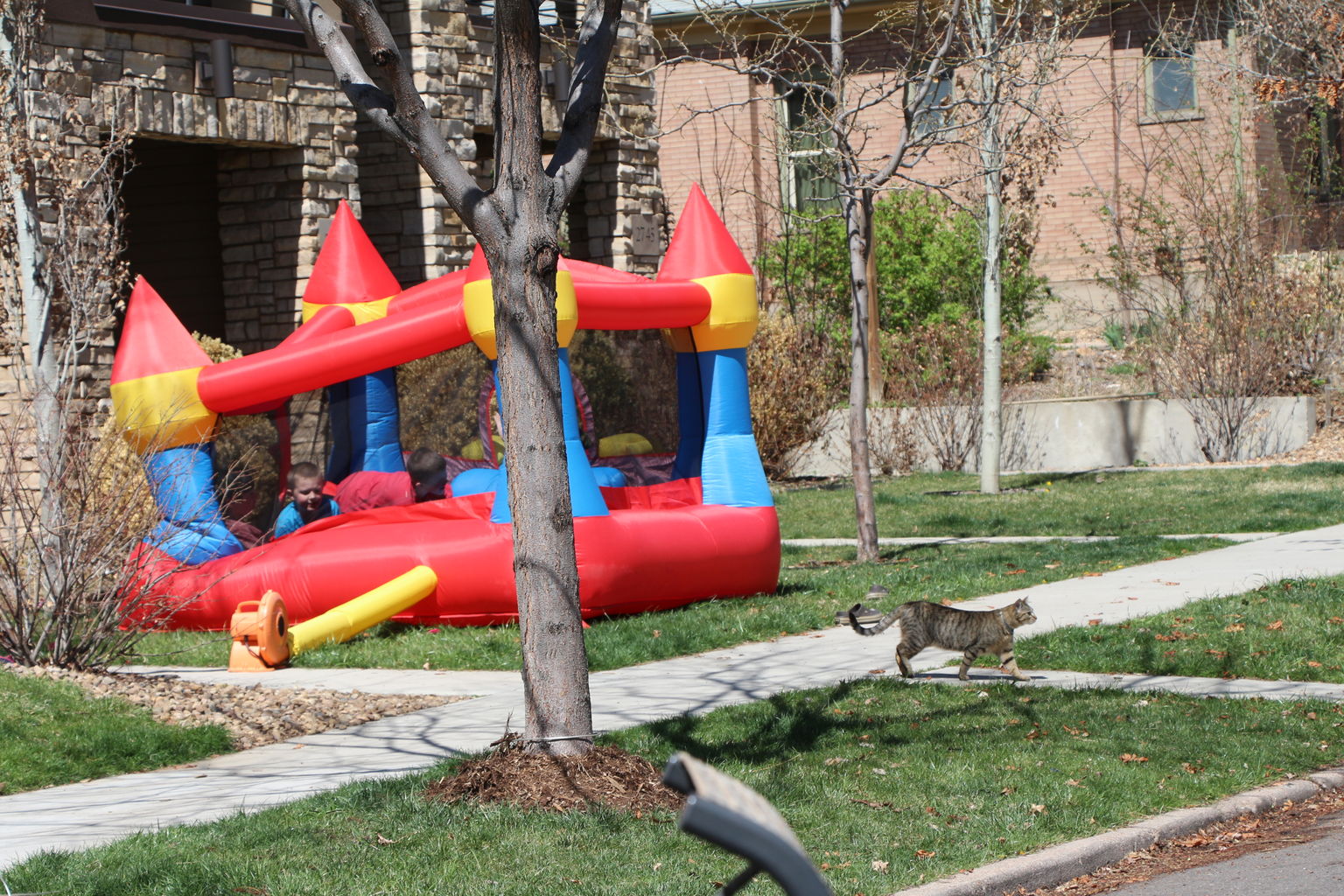 Java Ct Easter Egg Hunt - 2015