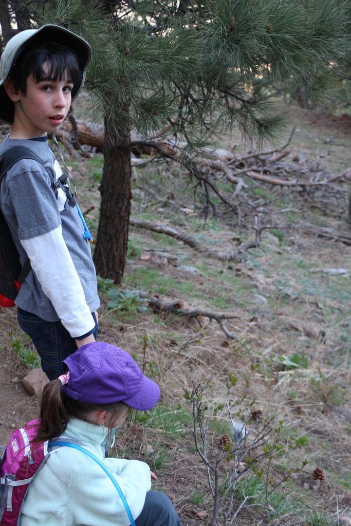 Kachline Family Photos 2015-04-05